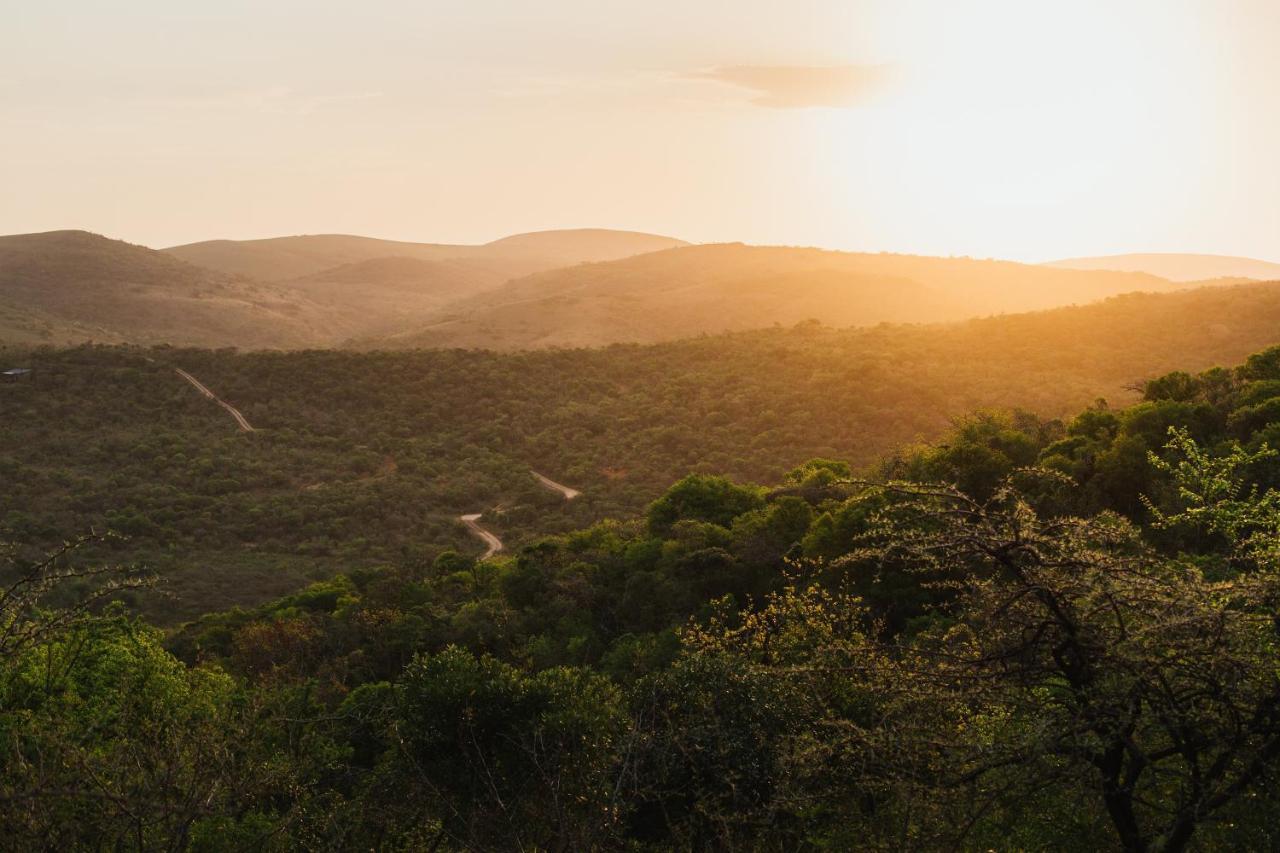 Rhino Ridge Safari Lodge KwaNompondo Eksteriør bilde