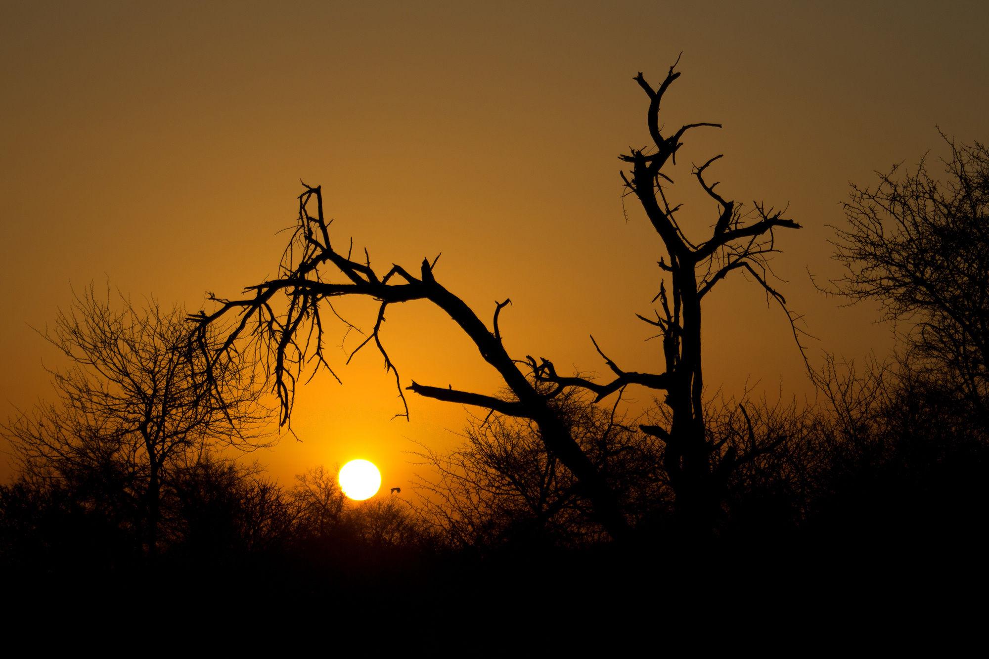 Rhino Ridge Safari Lodge KwaNompondo Eksteriør bilde