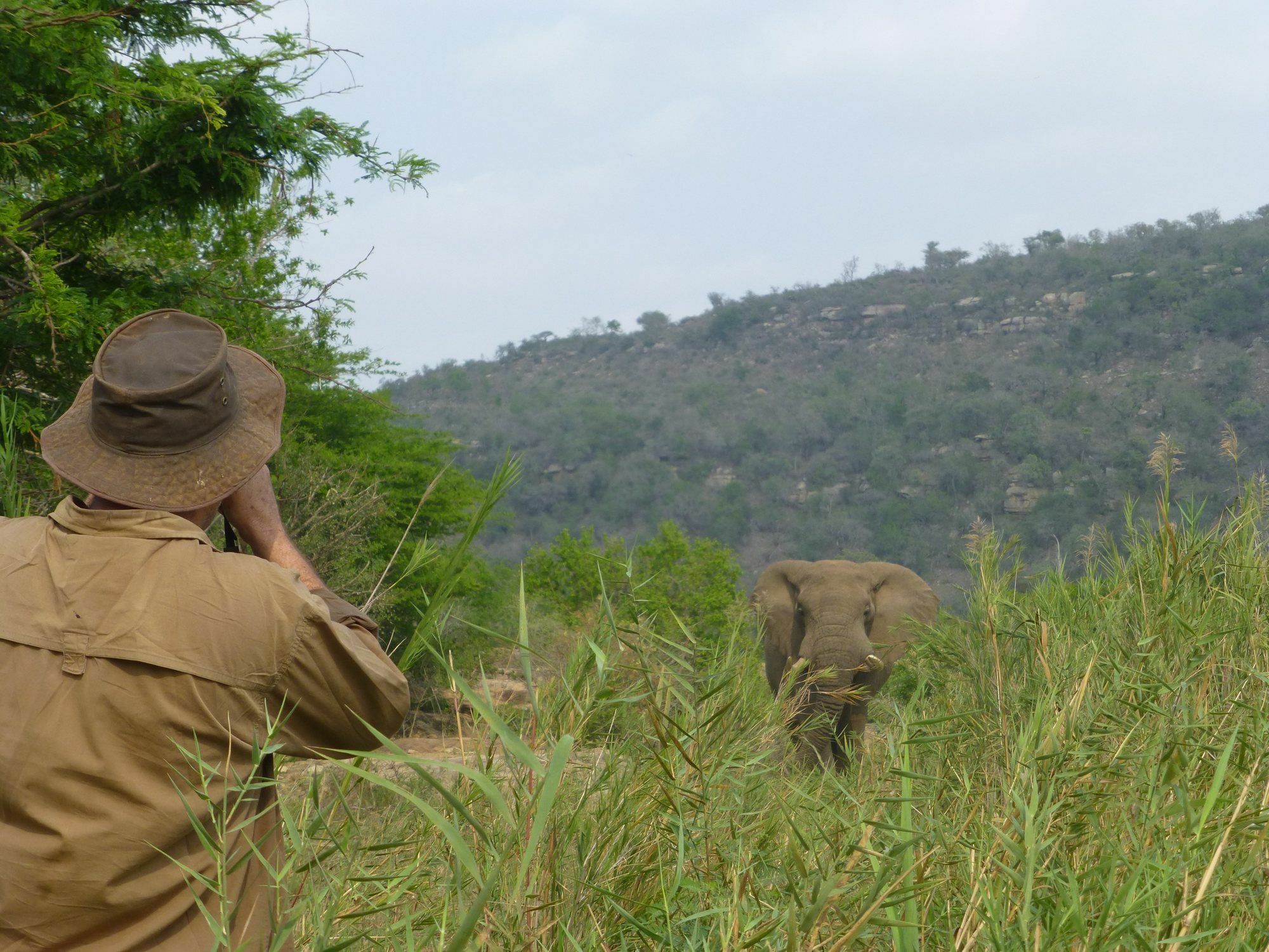 Rhino Ridge Safari Lodge KwaNompondo Eksteriør bilde